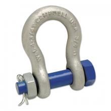 Apex 5391235 - Campbell Anchor Shackles